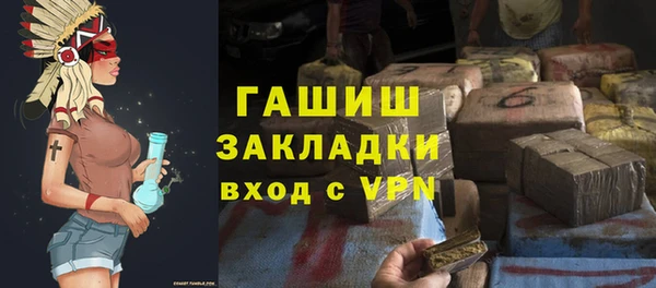 индика Волоколамск