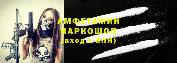 индика Волоколамск