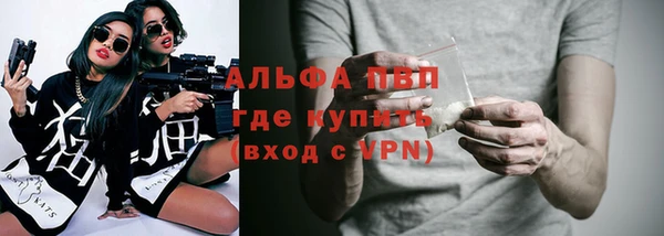 индика Волоколамск