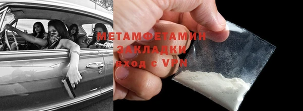 индика Волоколамск