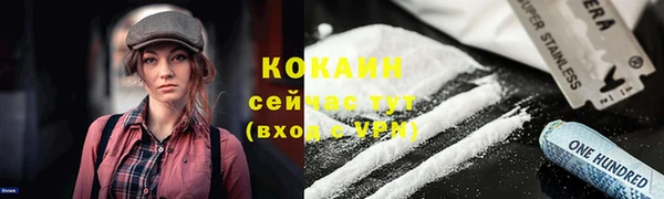индика Волоколамск