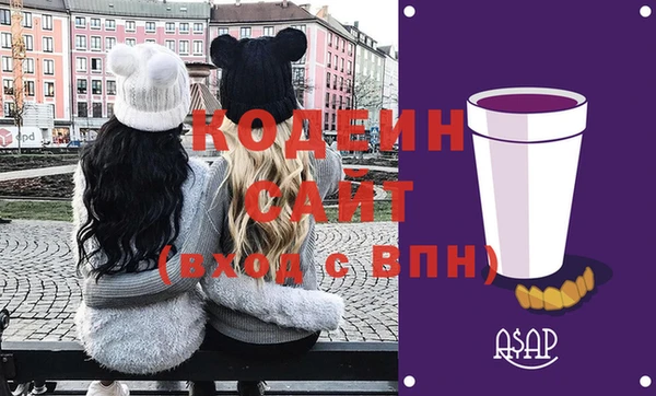индика Волоколамск