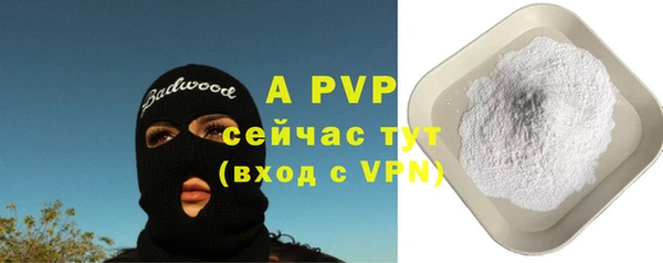 индика Волоколамск