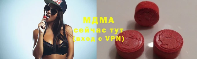 индика Волоколамск