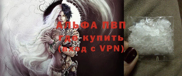 индика Волоколамск